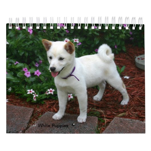White Puppies カレンダー (カバー)