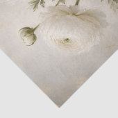 White Ranunculus Decoupage Paper | Vintage Mood 薄葉紙 (詳細)