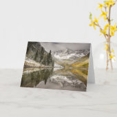 White River National Forest Colorado カード (黄色い花)