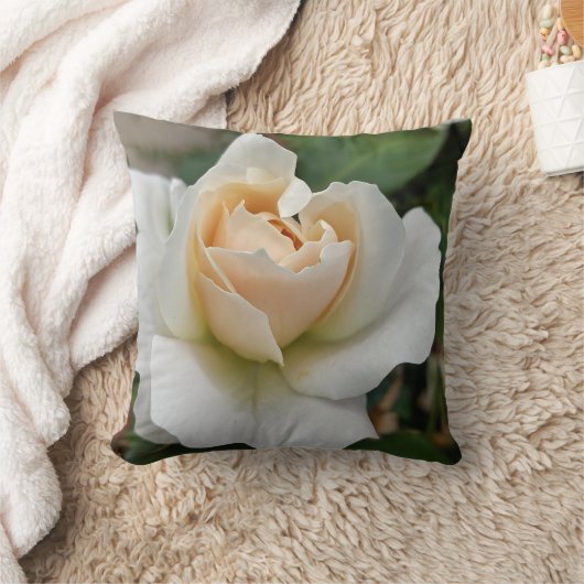 White Rose クッション (ブランケット)
