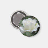 White Rose マグネット (正面/裏面)