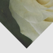 White Rose 薄葉紙 (詳細)