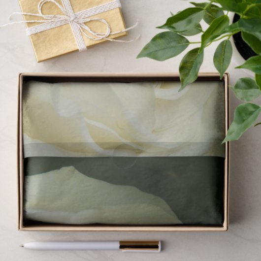 White Rose 薄葉紙 (ギフト)