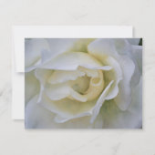 White Rose Art Flower Note Card Set ノートカード (正面)