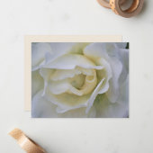 White Rose Art Flower Note Card Set ノートカード (正面/裏面インサイチュ)