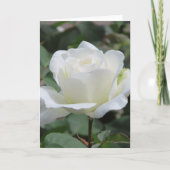 White Rose Greeting Card 案内状 (正面)