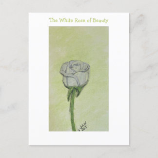 White Rose Postcard or Note ポストカード