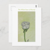 White Rose Postcard or Note ポストカード (正面/裏面)
