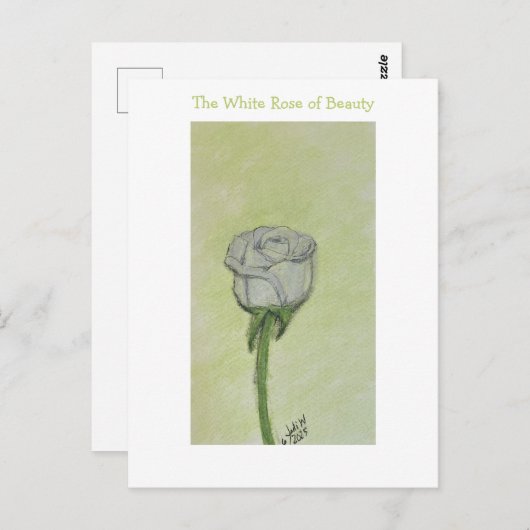 White Rose Postcard or Note ポストカード (正面/裏面)