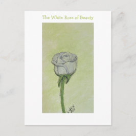 White Rose Postcard or Note ポストカード