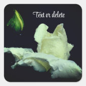 White Rosebud After Rain Personalized スクエアシール (正面)