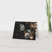 White roses in moody light, Sympathy カード (正面)