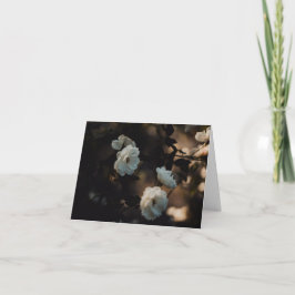 White roses in moody light, Sympathy カード