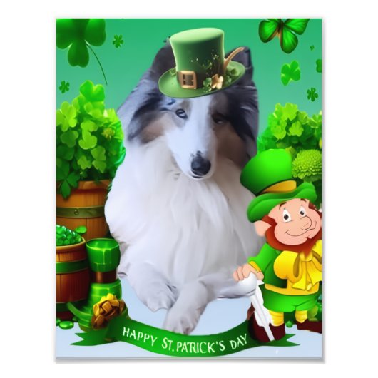 White Rough Collie celebrating St. Patrick's Day フォトプリント (正面)