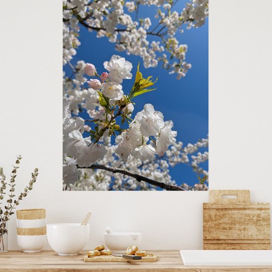 White Sakura H.G. ポスター (キッチン)