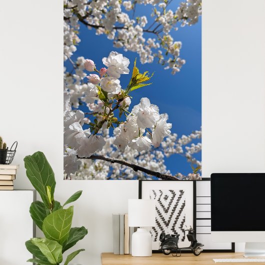 White Sakura H.G. ポスター (ホームオフィス)