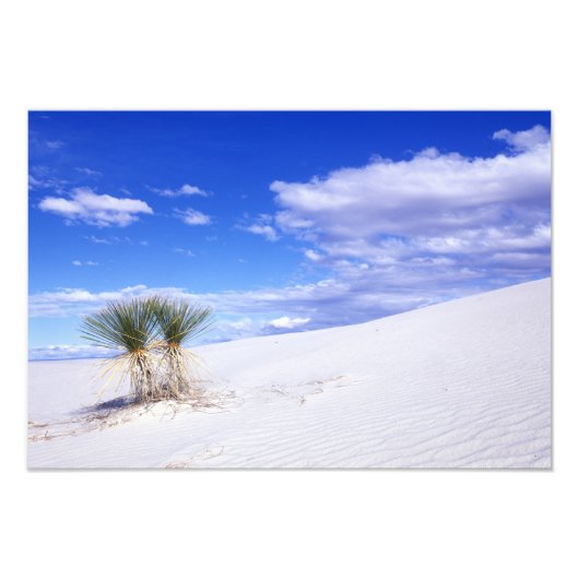 White Sands NM、ニューメキシコ、アメリカ フォトプリント (正面)