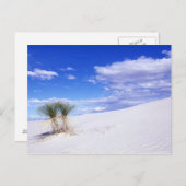 White Sands NM、ニューメキシコ、アメリカ ポストカード (正面/裏面)