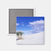 White Sands NM、ニューメキシコ、アメリカ マグネット (正面/裏面)
