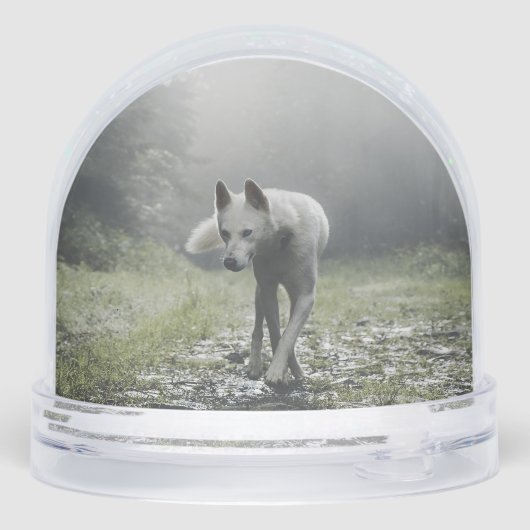 White Siberian Husky (裏面)