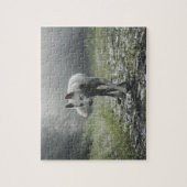 White Siberian Husky Jigsaw Puzzle ジグソーパズル (縦)