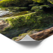 White Spirit Bear | British Columbia, Canada ポスター (角)