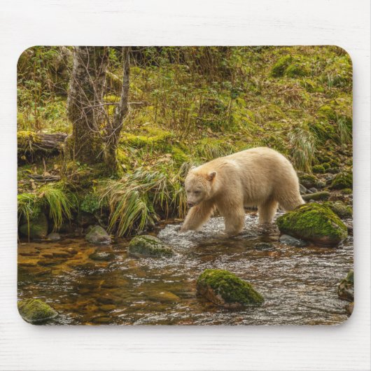 White Spirit Bear Hunts for fish on Riordan Creek マウスパッド (正面)