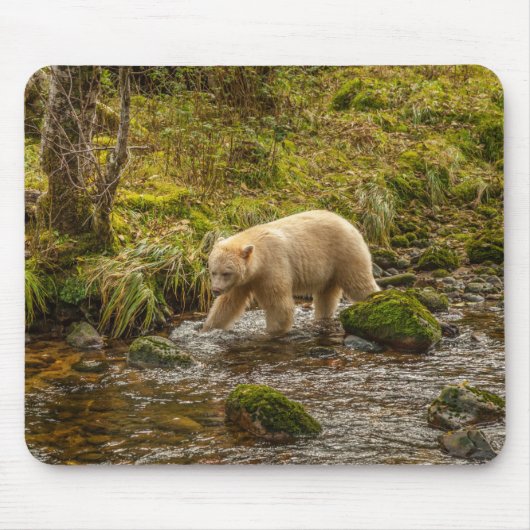 White Spirit Bear Hunts for fish on Riordan Creek マウスパッド (正面)