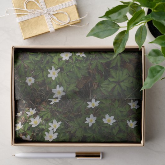 White spring flowers in woodland 薄葉紙 (ギフト)