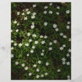 White spring flowers in woodland Scrapbook Paper (正面)