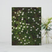 White spring flowers in woodland Scrapbook Paper (スタンド正面)