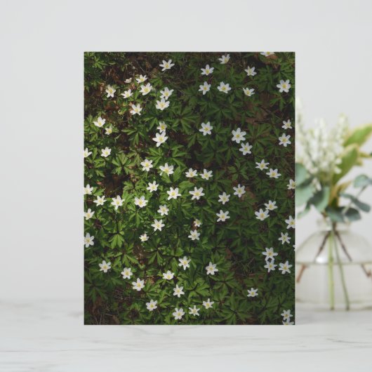 White spring flowers in woodland Scrapbook Paper (スタンド正面)