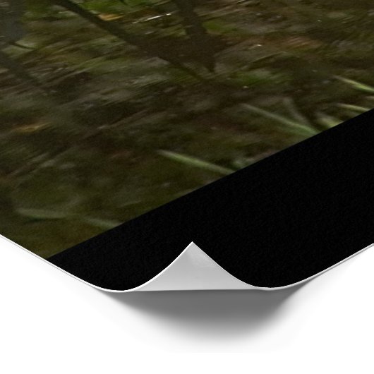 White Stork ポスター (角)