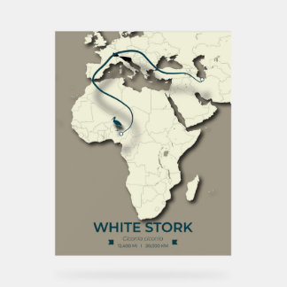 White Stork Migration Map – Minimalist Vintage アクリルサイン