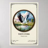 White Stork Zoology Series ポスター (正面)