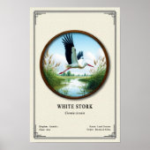 White Stork Zoology Series ポスター (正面)