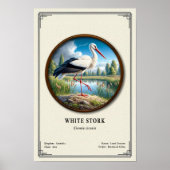 White Stork Zoology Series ポスター (正面)