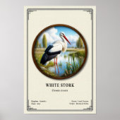 White Stork Zoology Series ポスター (正面)