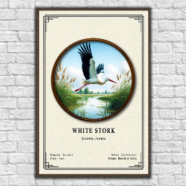 White Stork Zoology Series ポスター