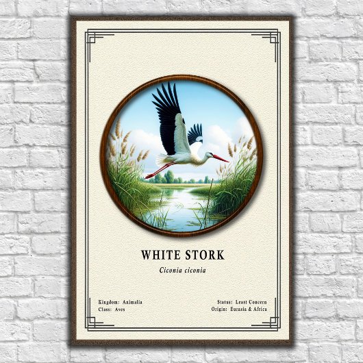 White Stork Zoology Series ポスター