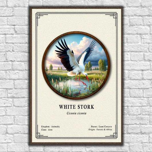 White Stork Zoology Series ポスター