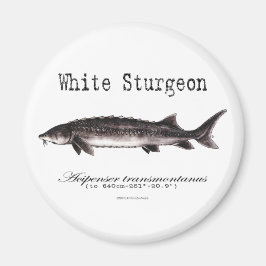 White Sturgeonのタイトル項目 マグネット