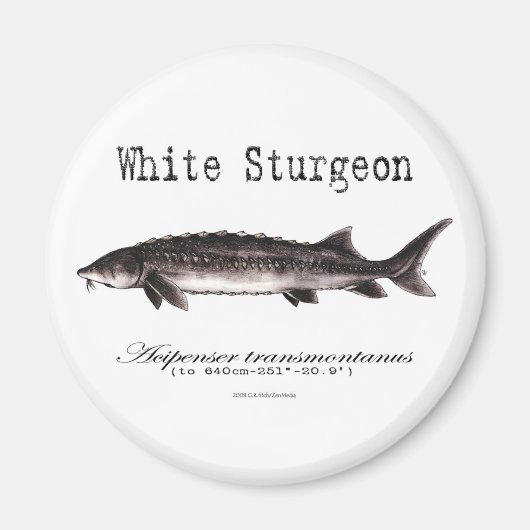 White Sturgeonのタイトル項目 マグネット (正面)