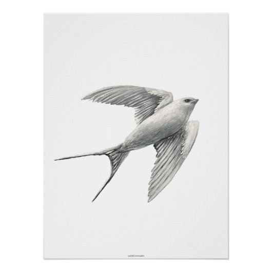 White Swallow ポスター (正面)