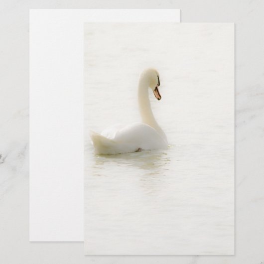 white swan 便箋 (正面/裏面)