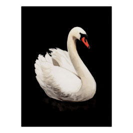 White Swan Vintage Art Poster ポスター