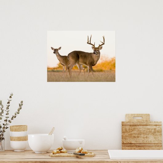 White-tailed Deer | Autumn in Texas ポスター (キッチン)