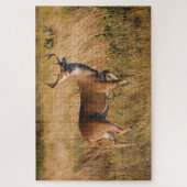 White-tailed Deer | Autumn in TX ジグソーパズル (縦)