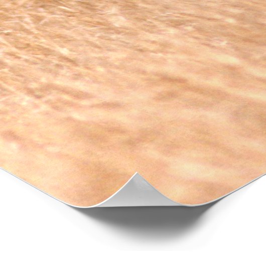 White Tailed Deer |  Choke Canyon State Park, TX ポスター (角)