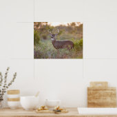 White-tailed Deer | Fall in Texas ポスター (キッチン)